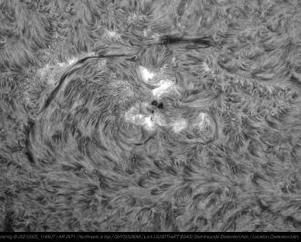2021/22 entstanden mithilfe des Lunt-Teleskops eine Reihe beeindruckender Sonnenaufnahmen: Hier ein Detail der Sonnenoberfl&auml;che, fotografiert am 25. September 2021