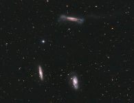 Das Leo-Triplett, bestehend aus den drei Spiralgalaxien NGC3628 (oben), M65 (links) und M66 (unten)