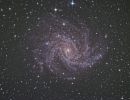 Die Spiralgalaxie NGC6946 im Kepheus