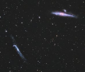 Die Walgalaxie NGC4631 (rechts) zusammen mit der Brecheisengalaxie NGC4656 (links)