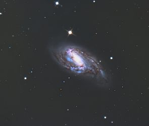 M66 im Leo-Triplett M66 im Leo-Triplett