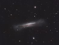 NGC 3628. Na ja, mit ordentlich Fantasie kann man hier schon auf ihren landl&auml;ufigen Namen schlie&szlig;en: Hamburger-Galaxie. Entfernt ist sie 34 Mill. Lichtjahre und befindet sich im Sternbild L&ouml;we.