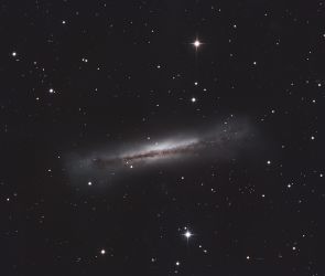 NGC 3628. Na ja, mit ordentlich Fantasie kann man hier schon auf ihren landl&auml;ufigen Namen schlie&szlig;en: Hamburger-Galaxie. Entfernt ist sie 34 Mill. Lichtjahre und befindet sich im Sternbild L&ouml;we.