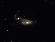 NGC5395 / Arp84 die Graureihergalaxie im Sternbild Jagdhunde. Aufgenommen mit dem 700/6400mm Cassegrain der Sternwarte und Sony A7S NGC5395 / Arp84 die Graureihergalaxie im Sternbild Jagdhunde. Aufgenommen mit dem 700/6400mm Cassegrain der Sternwarte und Sony A7S