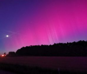 Polarlichter über Neunburg (3)