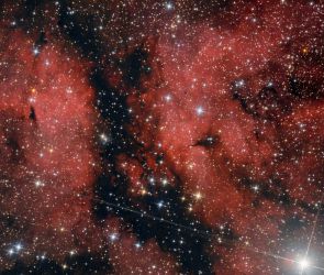 IC1318: Der Schmetterlingsnebel