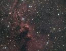 IC1396: Der Elefantenrüsselnebel im Detail