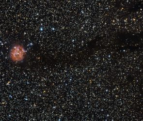 IC5146: Der Kokonnebel