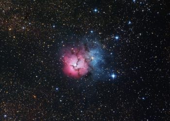 M20 - Trifidnebel