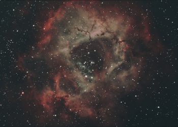 NGC 2237: Der Rosettennebel   Immer wieder ein Hingucker! Diesesmal in einer Bicolor-Variante (Ha/OIII) unter Verwendung eines 8 Newton Teleskops f/4.