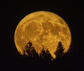 Aufgang des Erdbeermondes 2025 am Süd-Ost Horizont