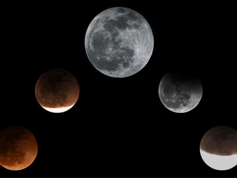 Hier eine Foto-Collage als bildliche Zusammenfassung der großartigen Totalen Mondfinsternis vom 07. September 2025. Zu diesem eindrucksvollen Naturschauspiel fanden sich an die 500 (!!) Besucher auf dem Gelände der Sternwarte ein! Hier eine Foto-Collage als bildliche Zusammenfassung der großartigen Totalen Mondfinsternis vom 07. September 2025. Zu diesem eindrucksvollen Naturschauspiel fanden sich an die 500 (!!) Besucher auf dem Gelände der Sternwarte ein!