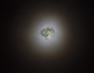 Supermond 2025, aufgenommen am 05.11.2025. Wegen seiner gr&ouml;&szlig;ten Ann&auml;herung (Perig&auml;um) an die Erde erscheint der Mond besonders gro&szlig;. Zus&auml;tzlich wurde er hier noch von einem Mondhalo besonders reizvoll eingerahmt!