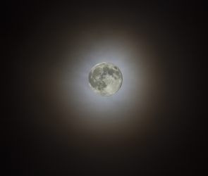 Supermond 2025, aufgenommen am 05.11.2025. Wegen seiner größten Annäherung (Perigäum) an die Erde erscheint der Mond besonders groß. Zusätzlich wurde er hier noch von einem Mondhalo besonders reizvoll eingerahmt!