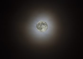 Supermond 2025, aufgenommen am 05.11.2025. Wegen seiner größten Annäherung (Perigäum) an die Erde erscheint der Mond besonders groß. Zusätzlich wurde er hier noch von einem Mondhalo besonders reizvoll eingerahmt!