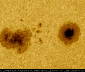 Die aktive Region 3315 auf der südl. Hemisphäre der Sonne vom 29. Mai 2023 im Weisslicht