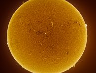 Die Sonne im August 2023 (3) Die Sonne im August 2023 (3)