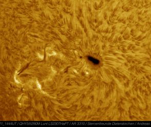 Die aktive Region 3310 im Südosten der Sonne vom 21. Mai 2023