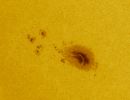 Die aktive Region Nr. 3799 im Südosten der Sonne. Sonnen Norden ist oben. Fotografiert mit dem 70cm Cassegrain der Sternwarte