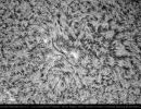 Aktive Sonnenregion 2853 am 15. August 2021